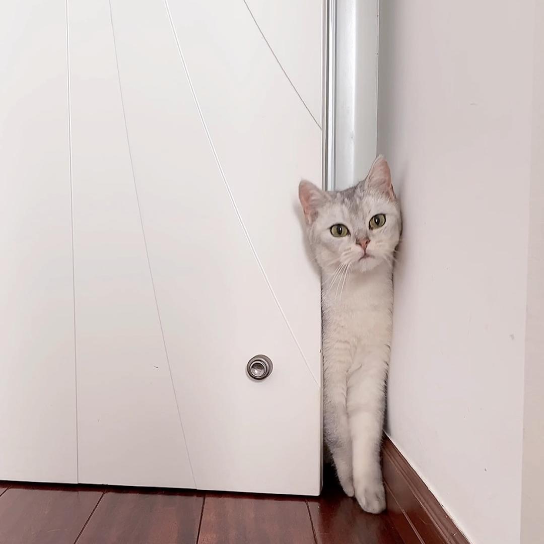 INU·十月