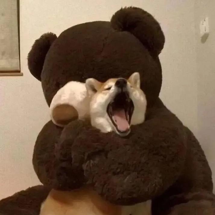 容隽