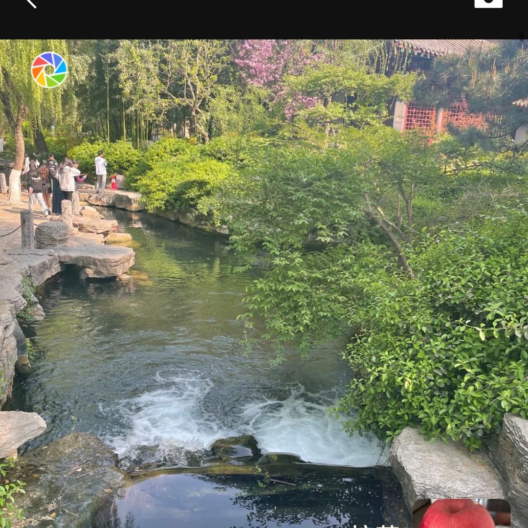 楚夏