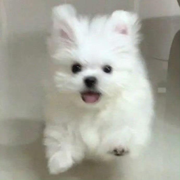 七喜嘻嘻嘻-