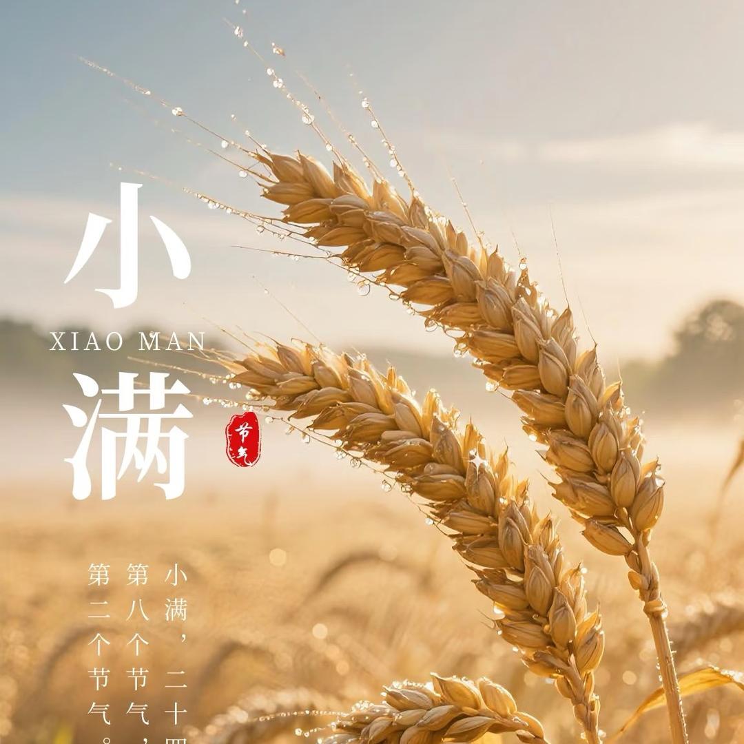 苗圃农资