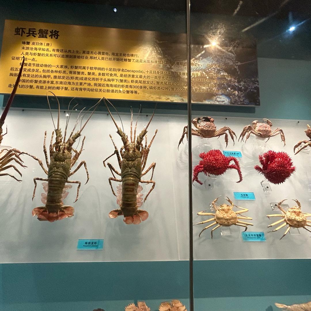 是淘淘妈妈吖