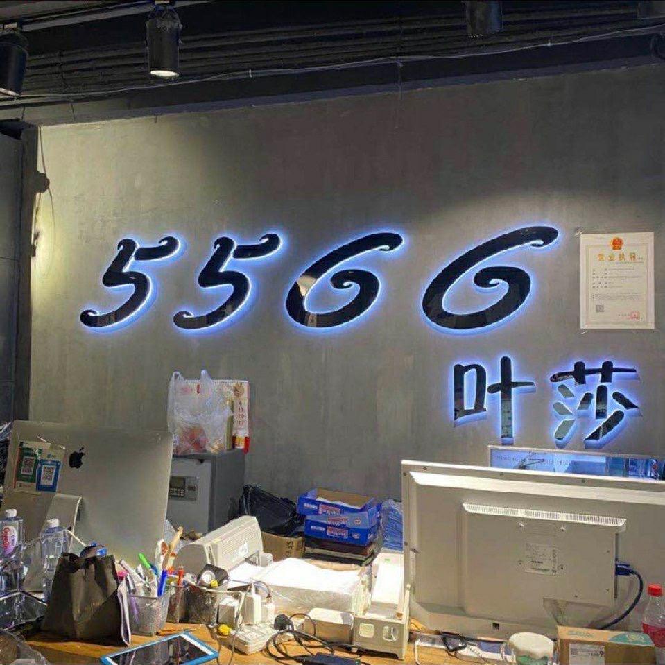 深圳5566叶莎女装