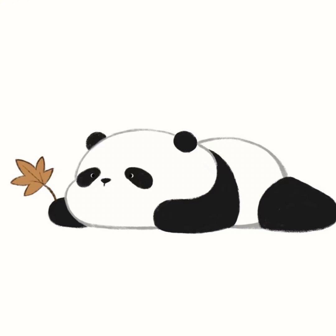 萌萌小熊猫