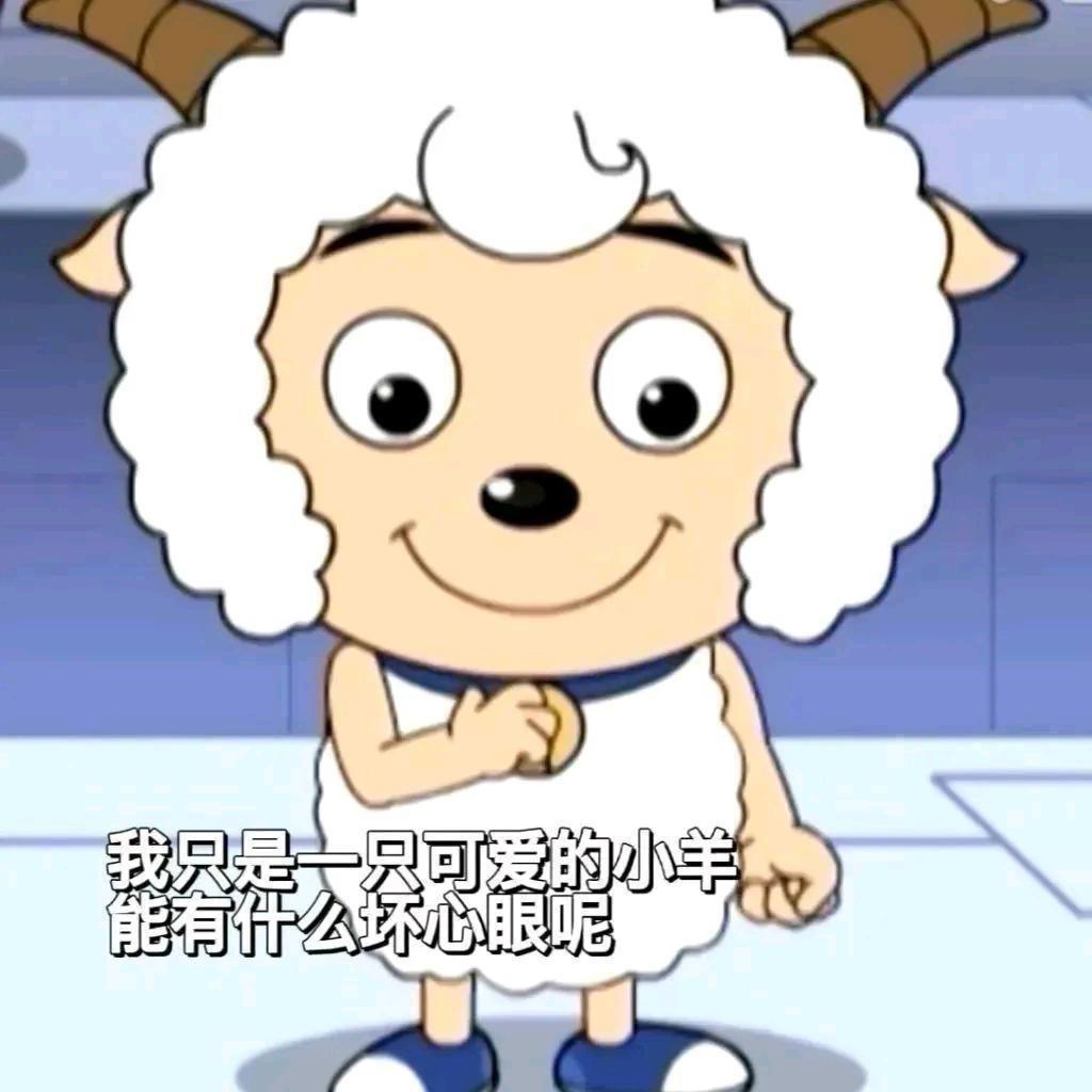 补钙达人