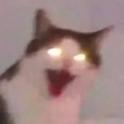 阿澍Er