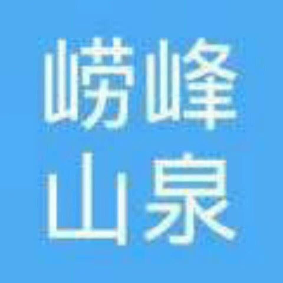 英俊的小马哥