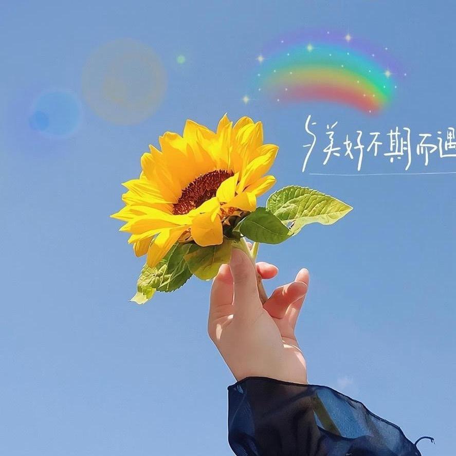 劉住美好🌻🌻🌻🌻🌻🌻