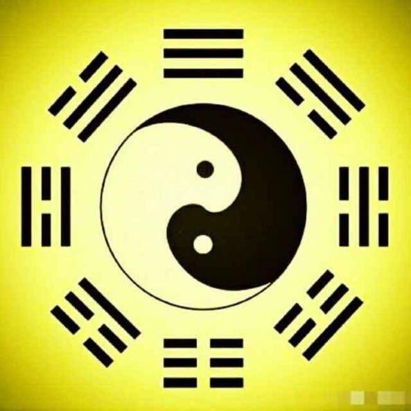 杨先生国学
