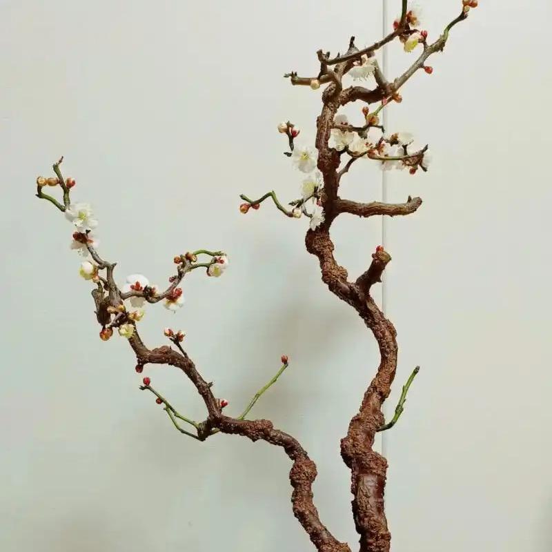 🌸农夫三拳（闭关修炼）