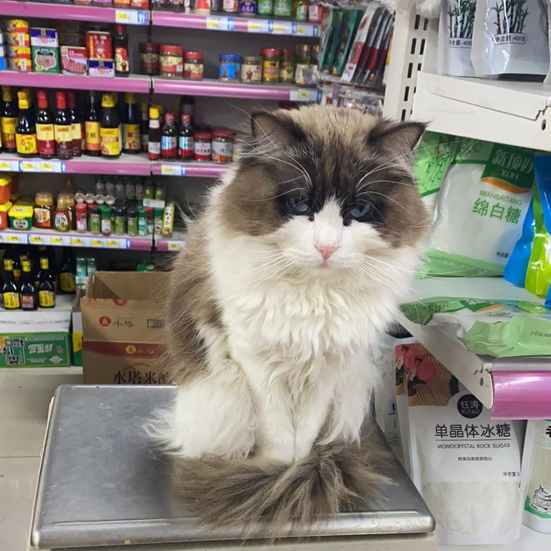 天下人做天下事