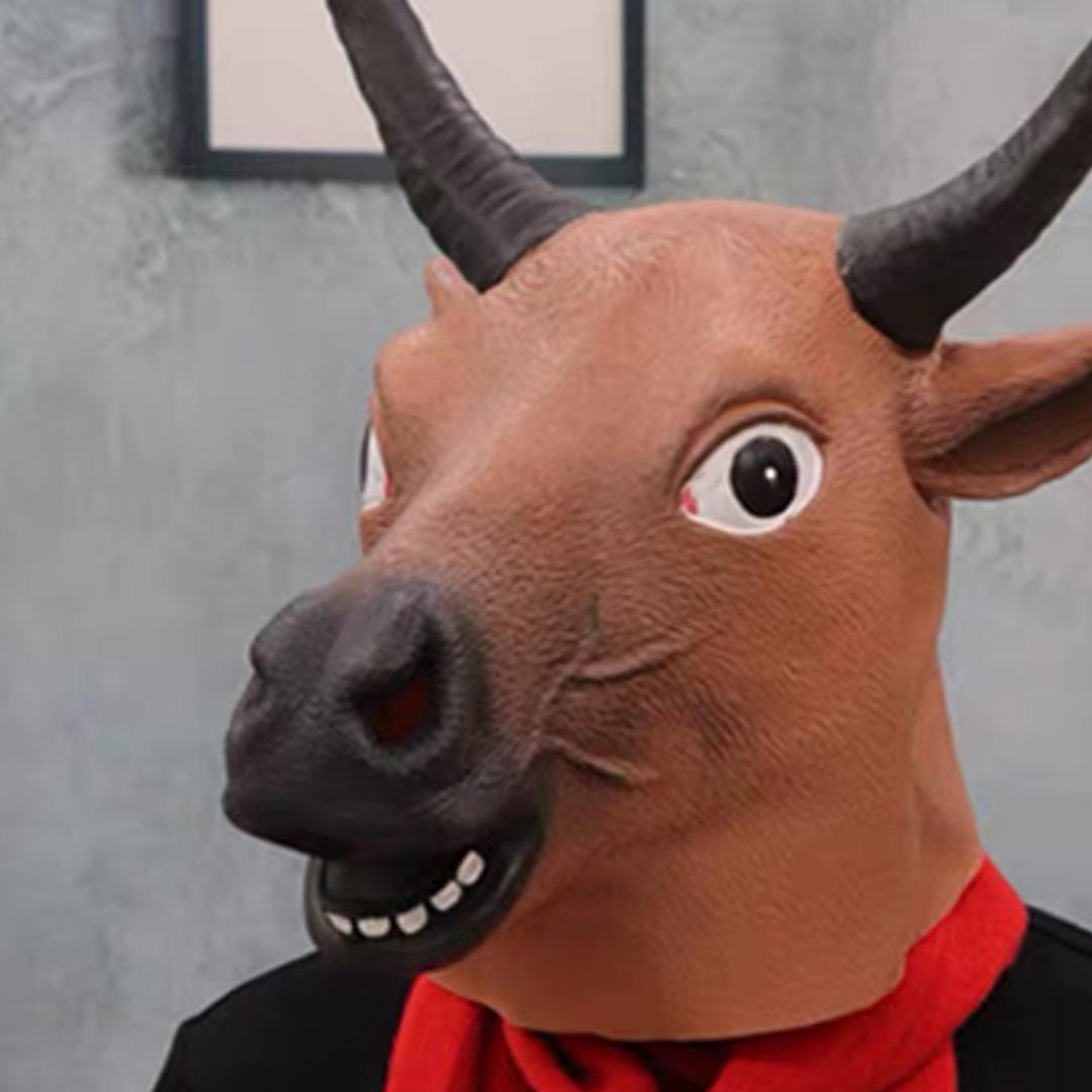 阳光灿烂小白马