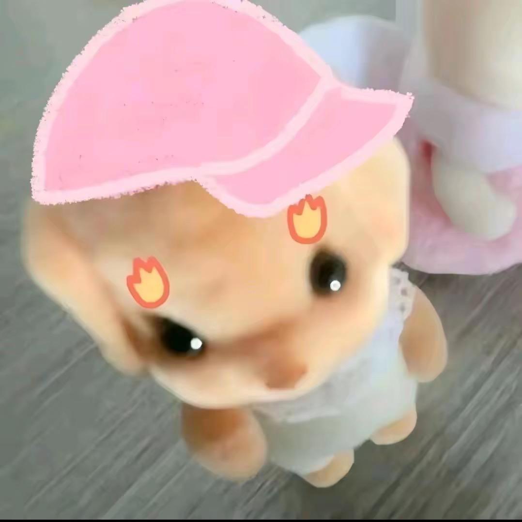 鑫鑫姐
