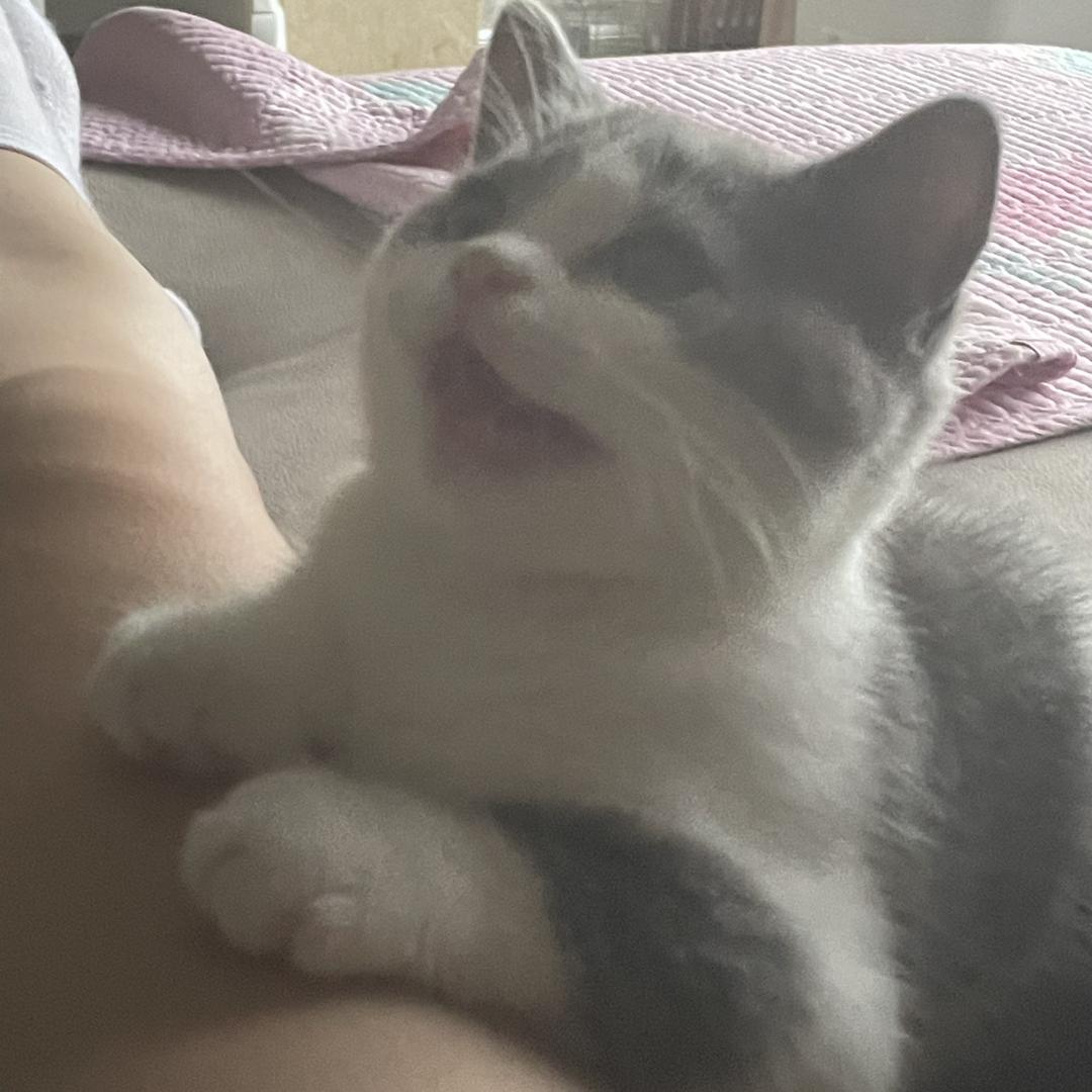 yyyyyyk