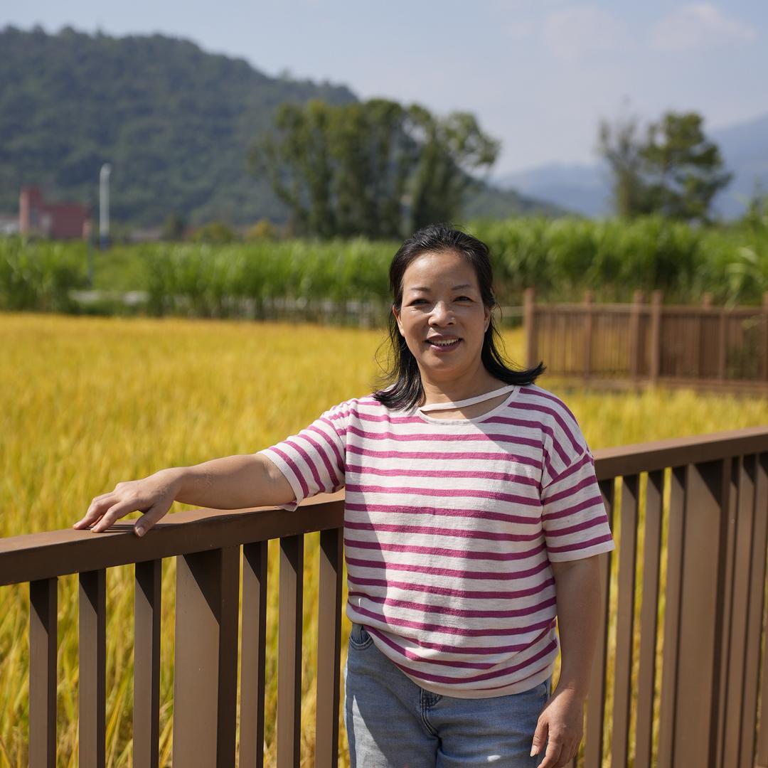 苍南娟姐（寻找批发商）