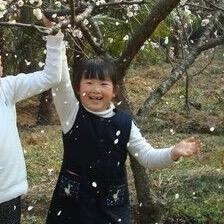 见录