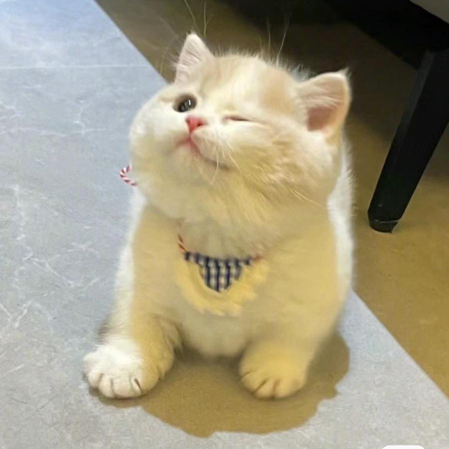 麻辣烫的汤（Tom）