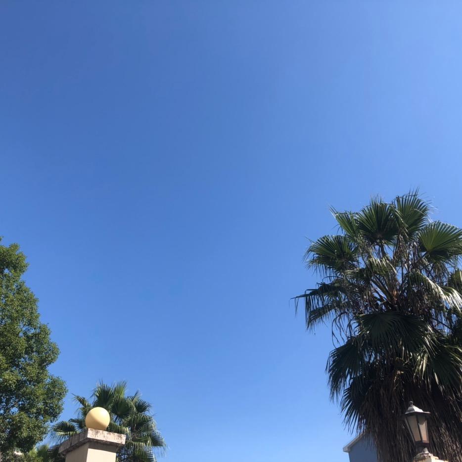 可爱多🧍‍♀️