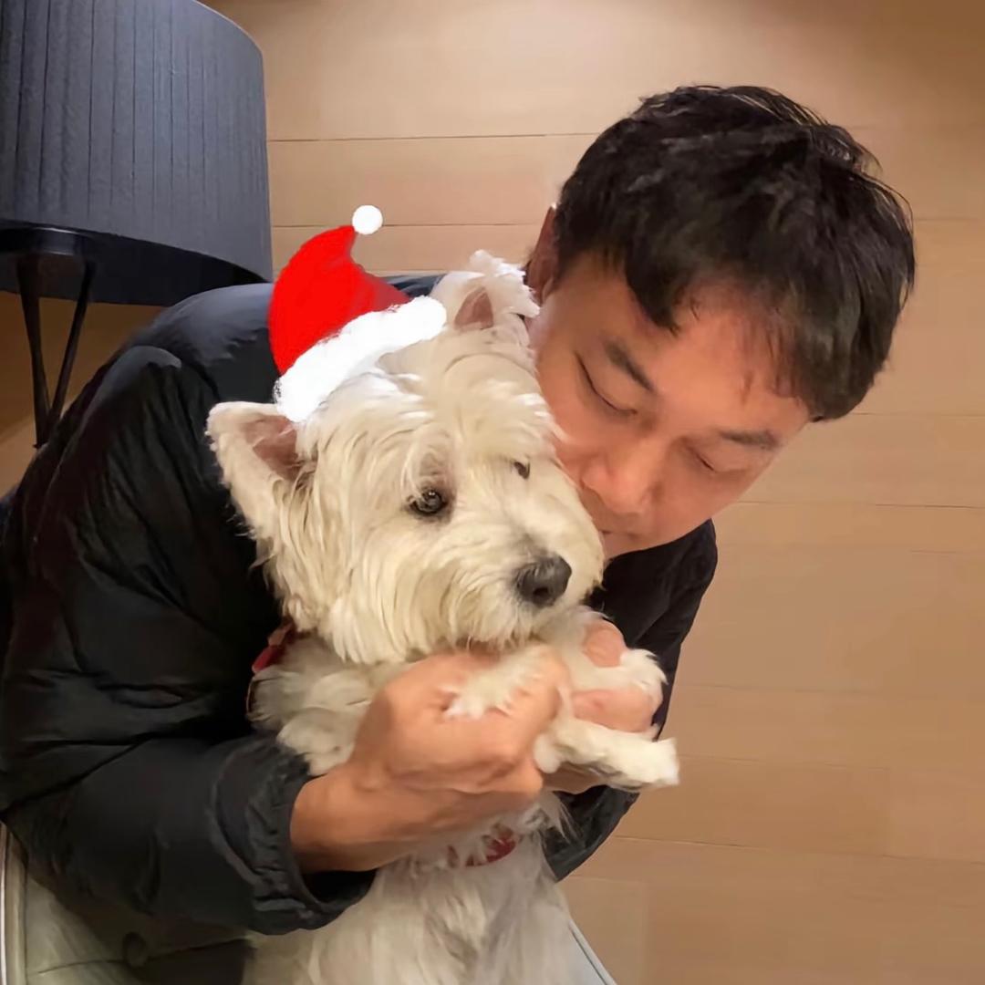 失眠草稿箱.