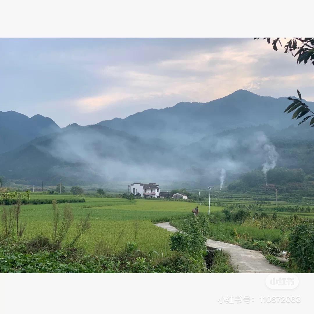 C小桃
