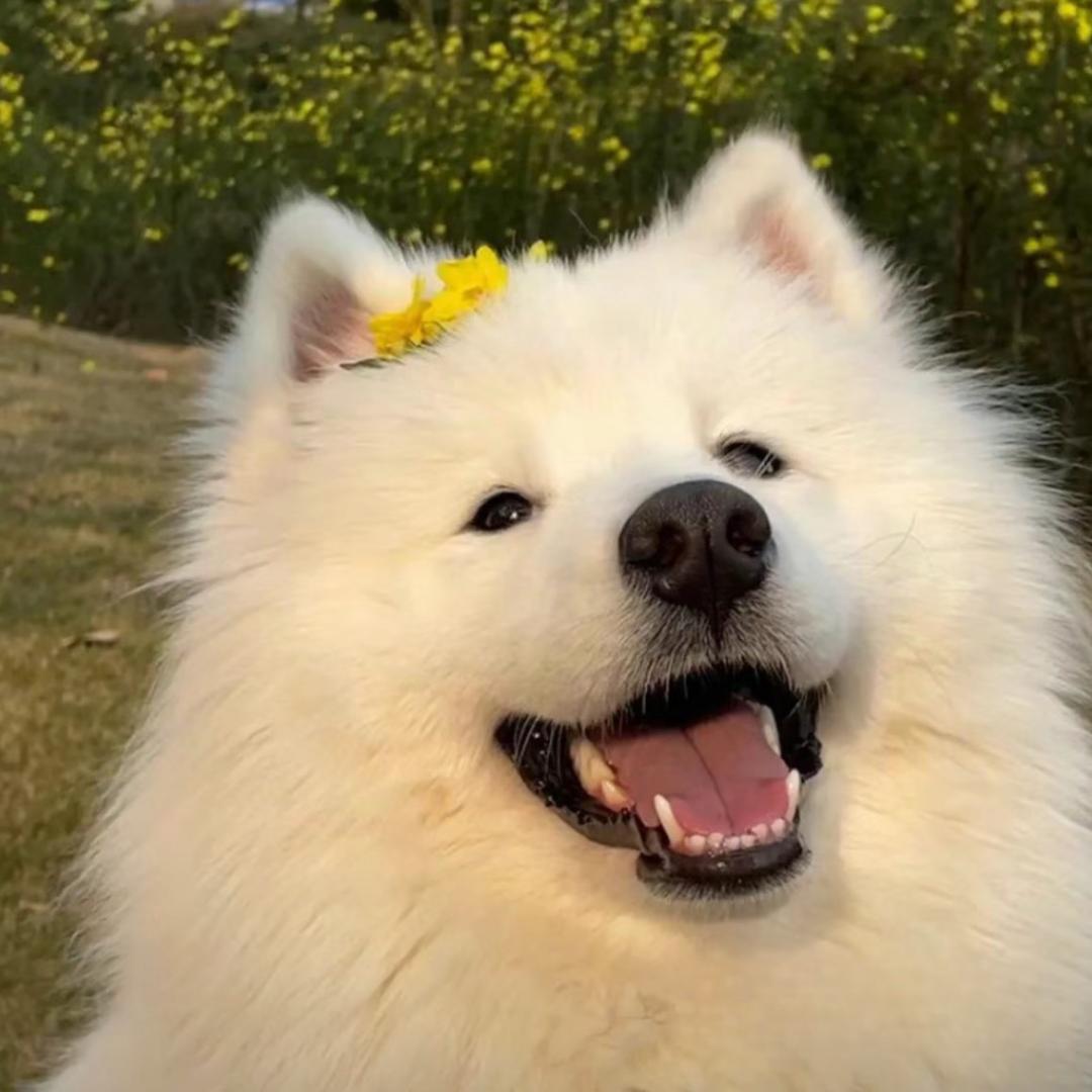 AAA换锁媛夫人