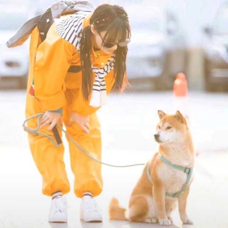 芽芽