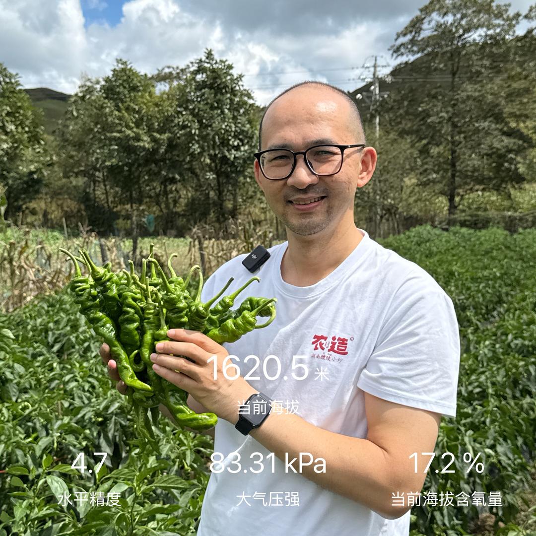 农造老板陈子轩