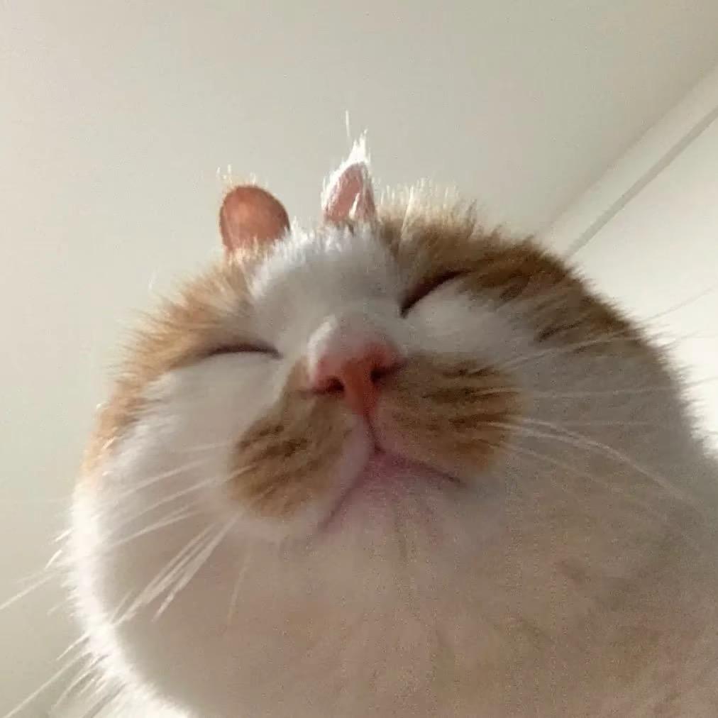 别倒霉了y