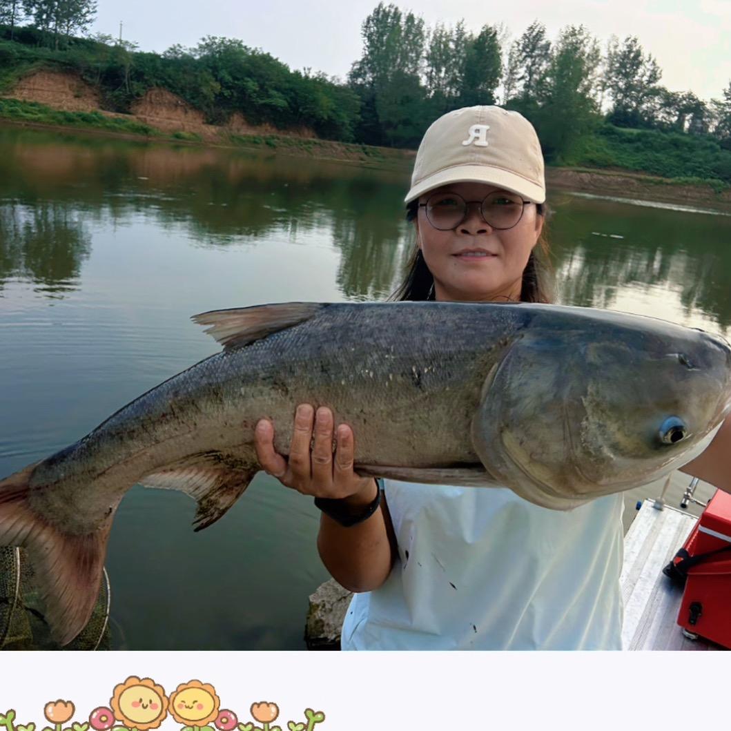刘亚丽钓鱼🎣