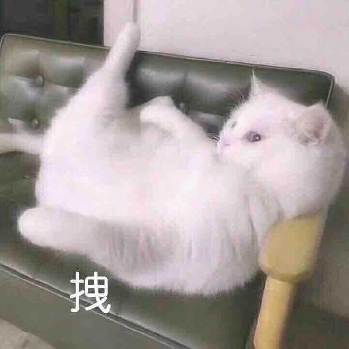 哈哈喽喽