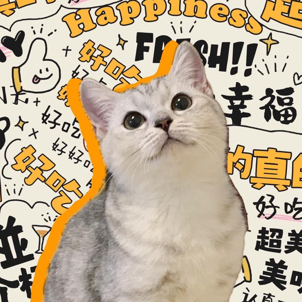 🐱半斤八两