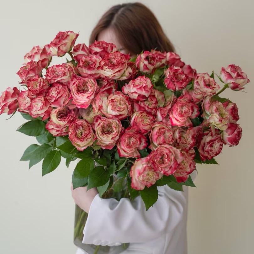 新蔡装修～云云