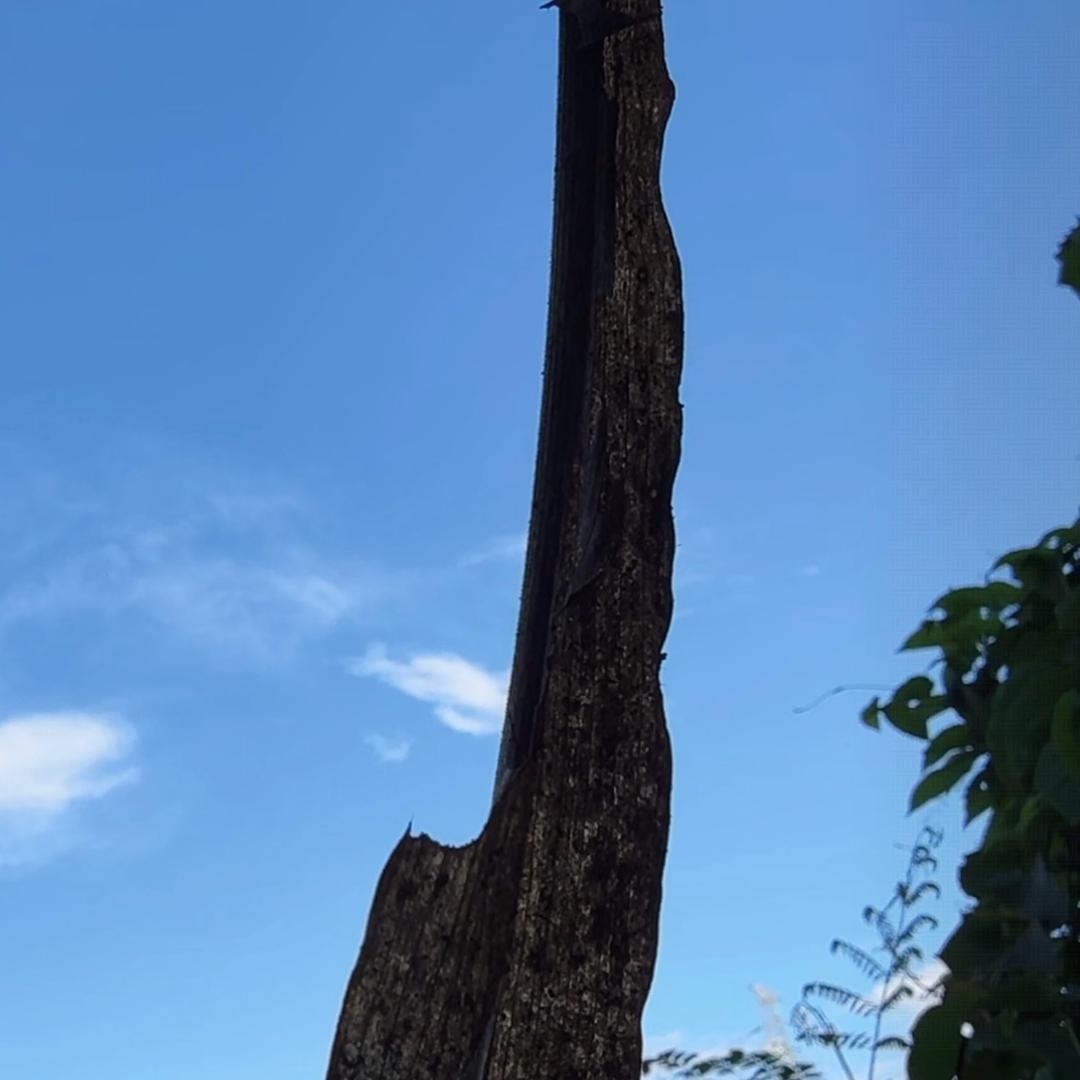 一直都在