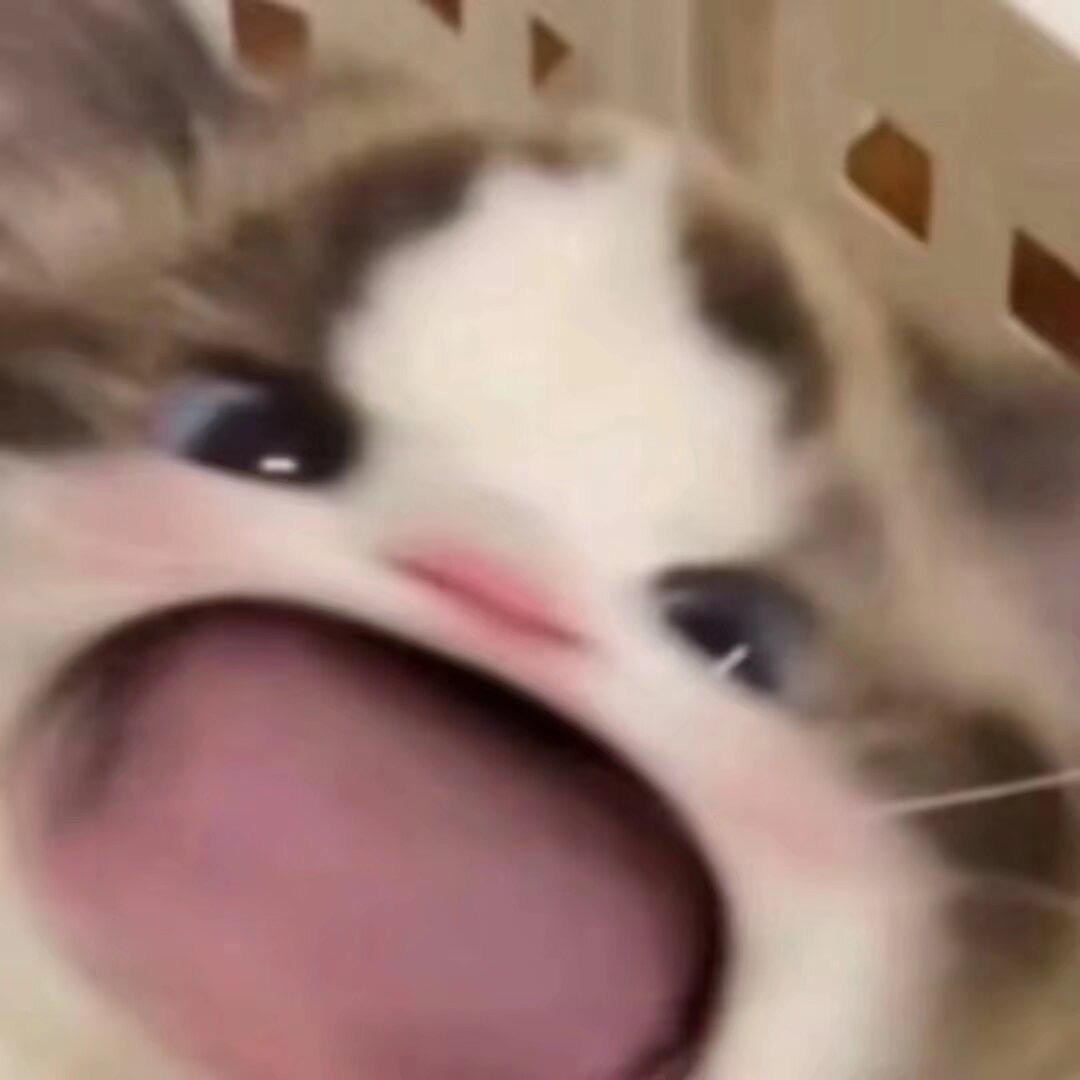 🐟