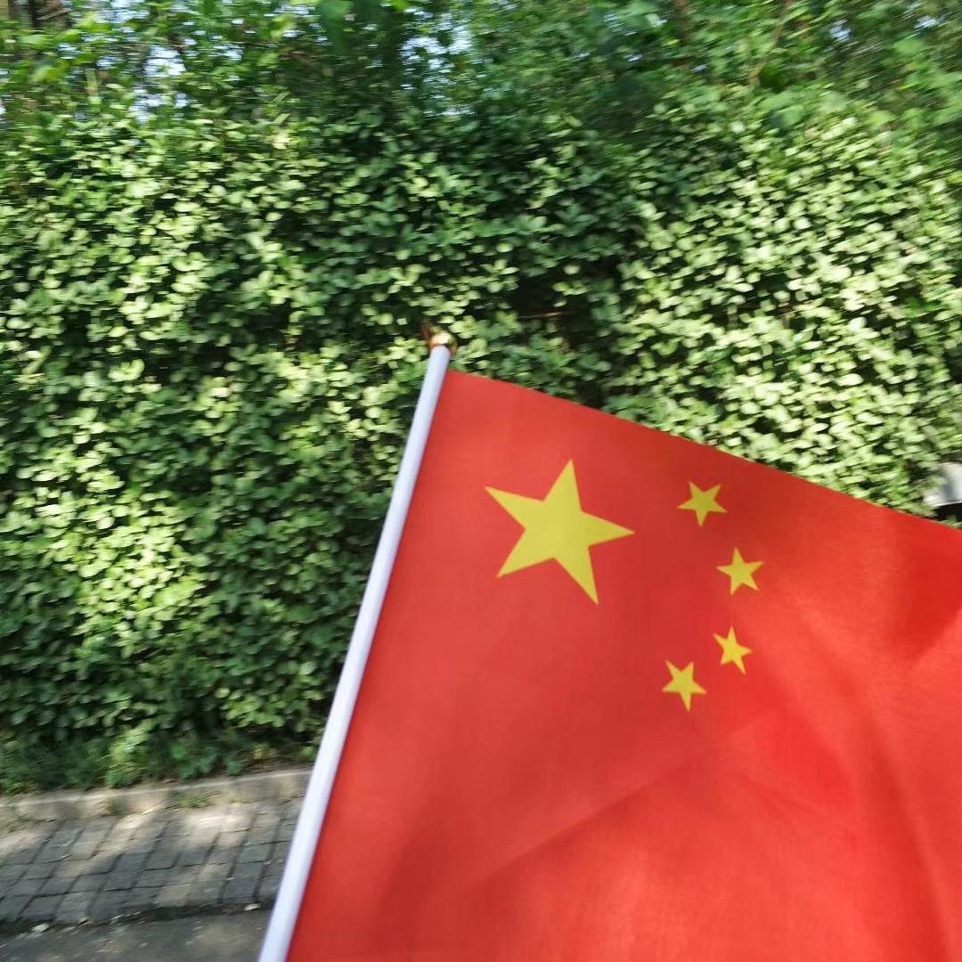小龙