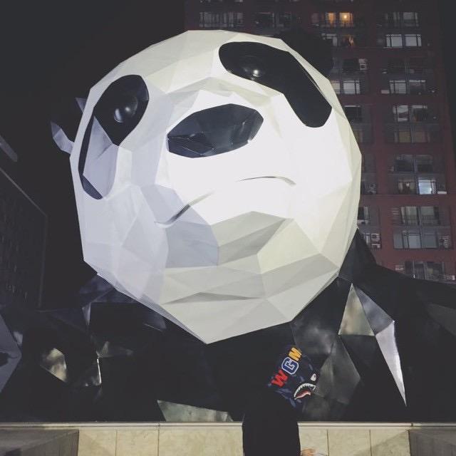 虚伪单铲日记
