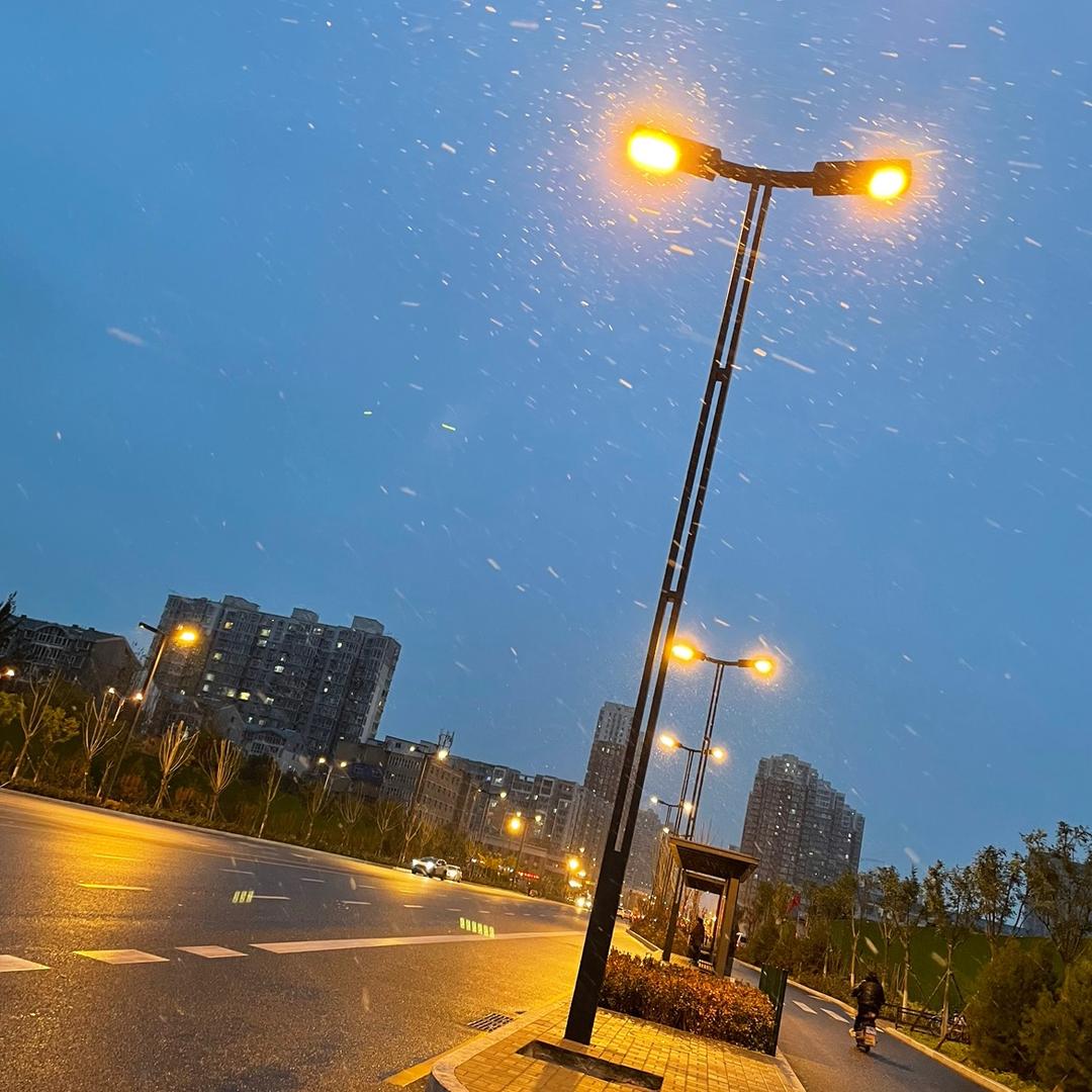 努力努力再努力zk