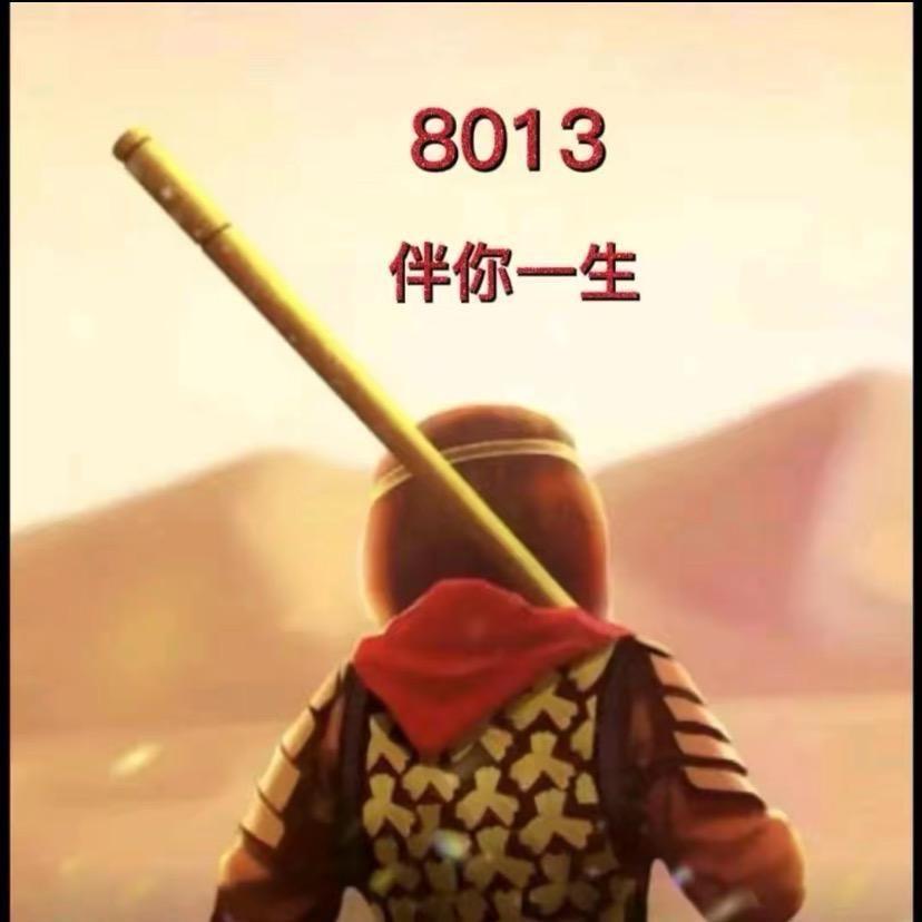 锦ぷ绣前程（8013）