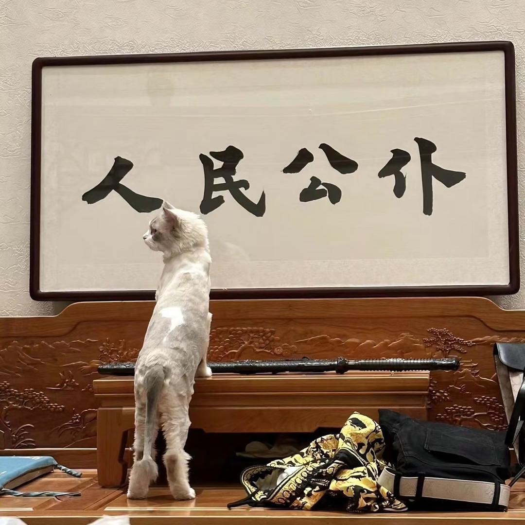 官员