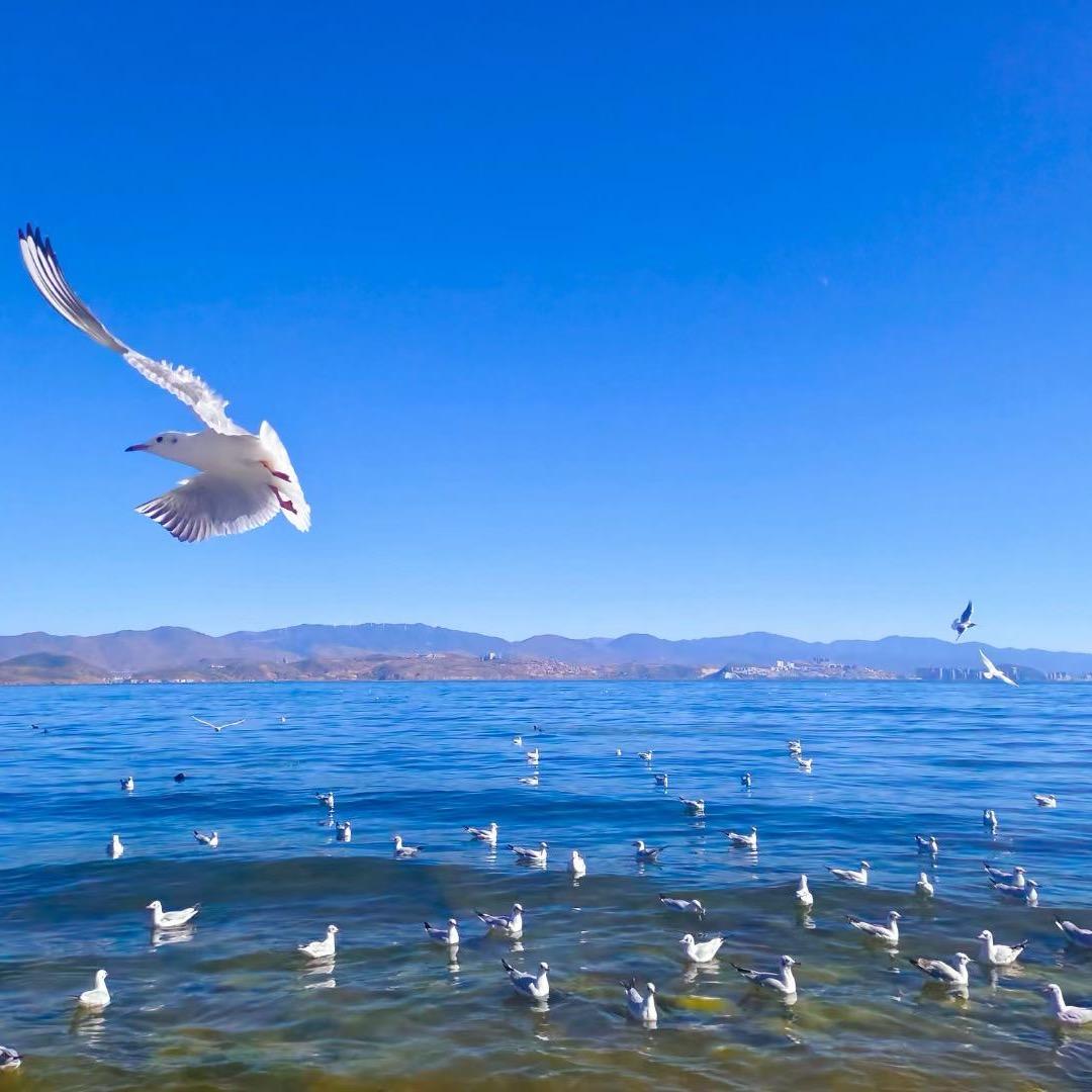 金山银山民俗用品店