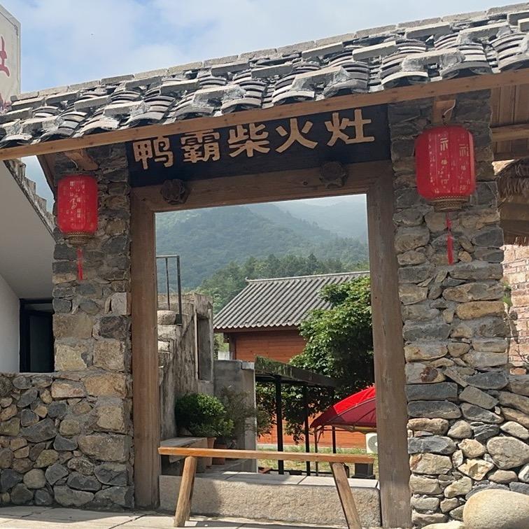 八井鸭霸柴火灶
