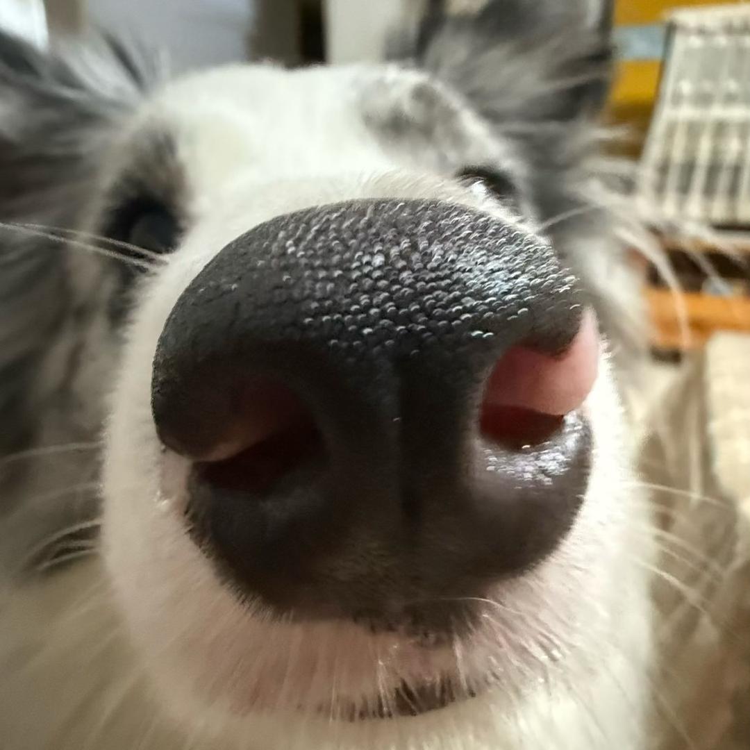 总