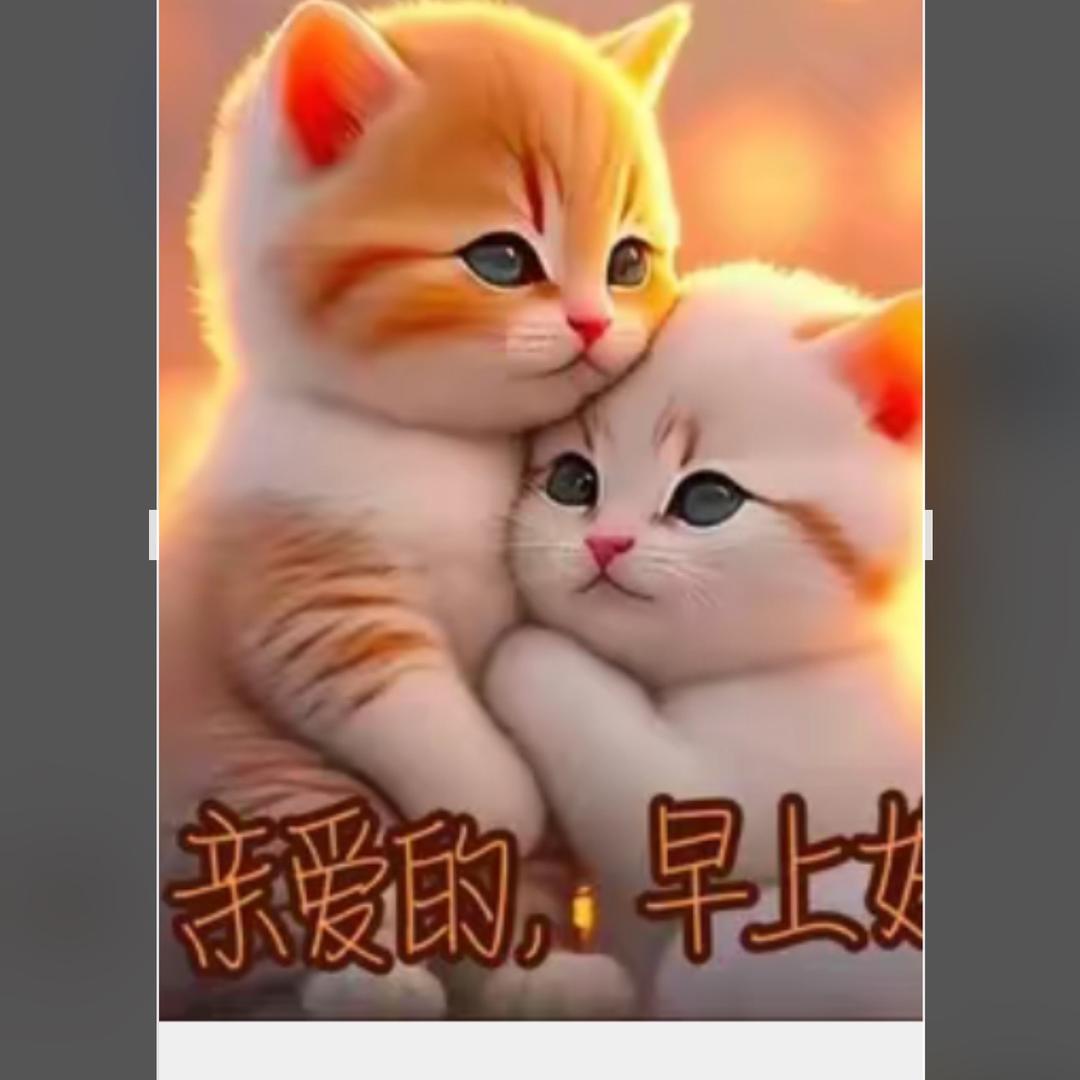 🔥温柔❄️