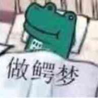 小鲨鱼