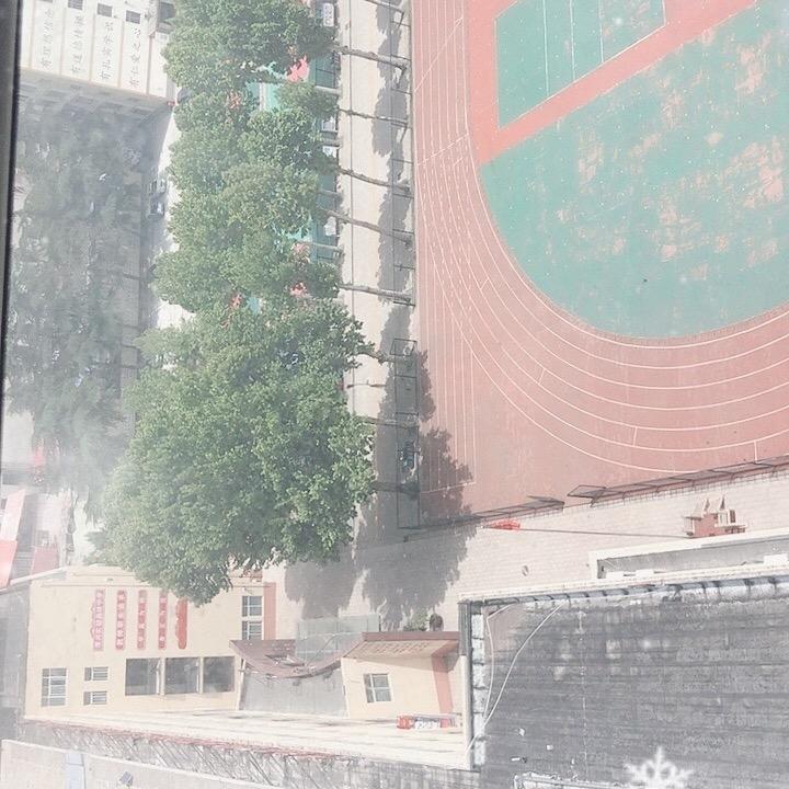 不搬猛犸