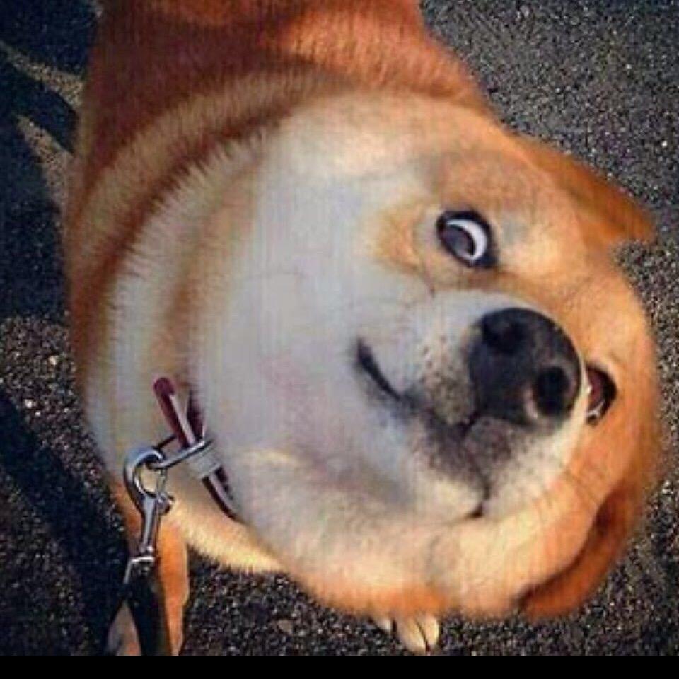 中央马桶盖