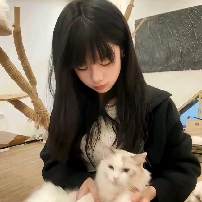 芝士小羊卷
