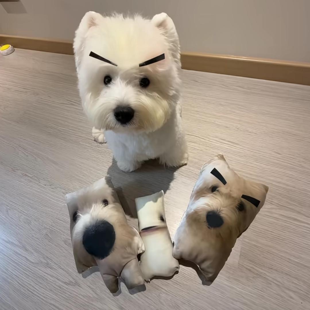 弓和长