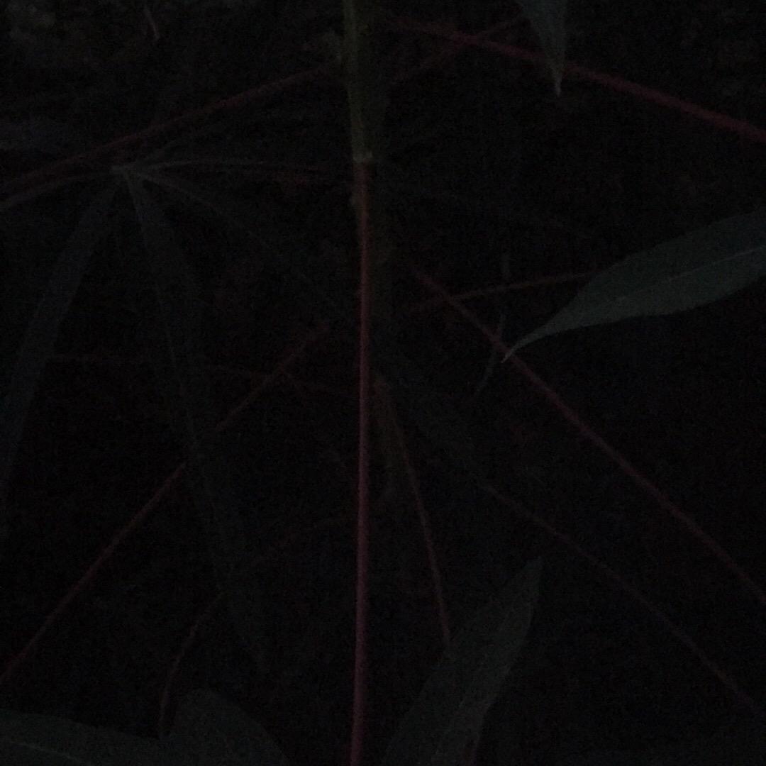 一