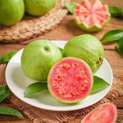 小王的番石榴园